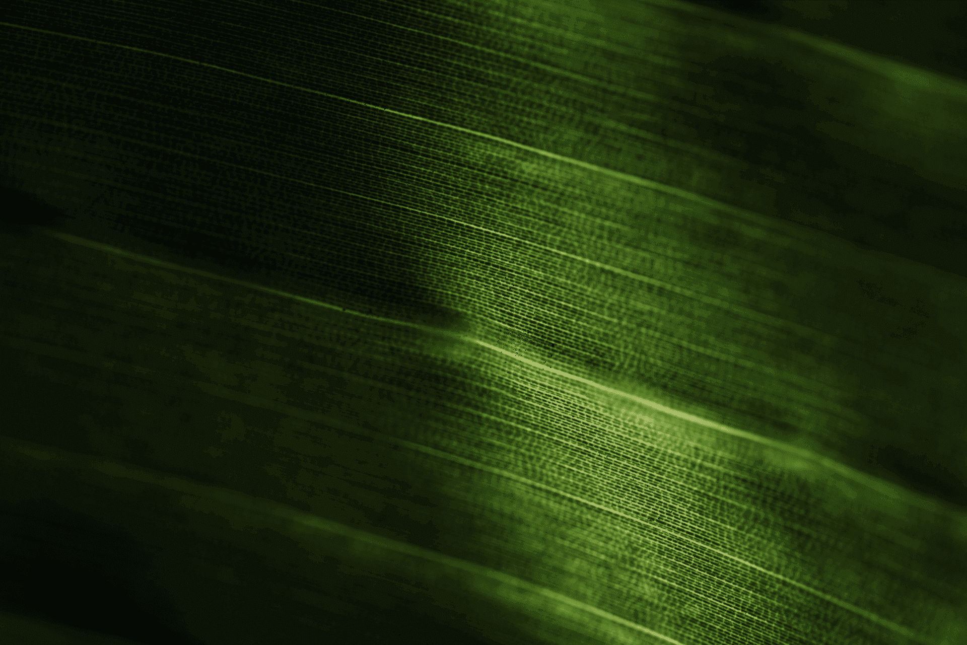 Responsabilidade 1.png